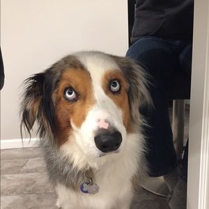 Meet your Posher, Marsha